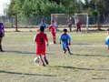 LVBF12FC2013 047