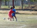 LVBF12FC2013 014