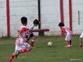LVBF14FC2013 017