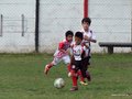 LVBF14FC2013 018