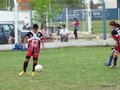 LVBF14FC2013 059