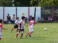 LVBF14FC2013 014