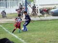 LVBF14FC2013 047