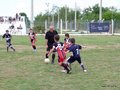 LVBF14FC2013 055