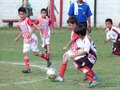 LVBF14FC2013 019