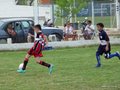 LVBF14FC2013 046