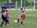 LVBF14FC2013 070