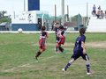 LVBF14FC2013 053