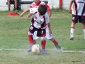 LVBF14FC2013 032