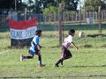 LVBF16FC2013 047