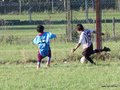 LVBF16FC2013 049