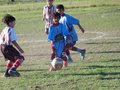 LVBF16FC2013 062