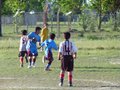 LVBF16FC2013 043
