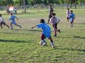 LVBF16FC2013 063