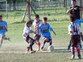LVBF16FC2013 067