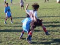 LVBF16FC2013 055
