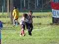 LVBF16FC2013 065