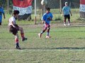 LVBF16FC2013 046