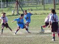 LVBF16FC2013 066