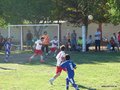 LVBF16FC2013 005