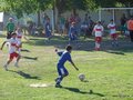 LVBF16FC2013 004
