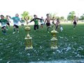 LVBF18FC2013 208