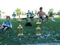 LVBF18FC2013 209