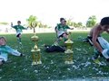 LVBF18FC2013 210
