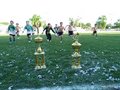 LVBF18FC2013 207