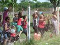 LVBF18FC2013 019