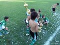 LVBF18FC2013 213