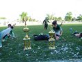 LVBF18FC2013 211