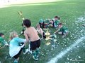 LVBF18FC2013 212