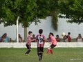 LVBF19FC2013 046