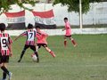 LVBF19FC2013 044