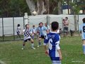 LVBF19FC2013 025