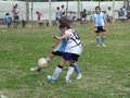 LVBF19FC2013 024