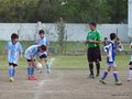 LVBF19FC2013 021