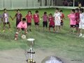 LVBF19FC2013 076