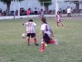 LVBF19FC2013 060