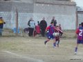 LVBF1FC2013 039