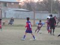 LVBF1FC2013 041