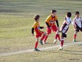 LVBF1FC2013 019
