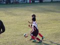 LVBF1FC2013 026