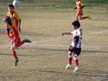 LVBF1FC2013 017