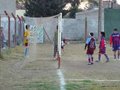 LVBF1FC2013 049