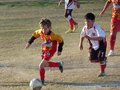 LVBF1FC2013 005