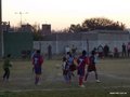 LVBF1FC2013 068