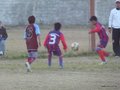 LVBF1FC2013 037
