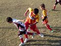 LVBF1FC2013 007